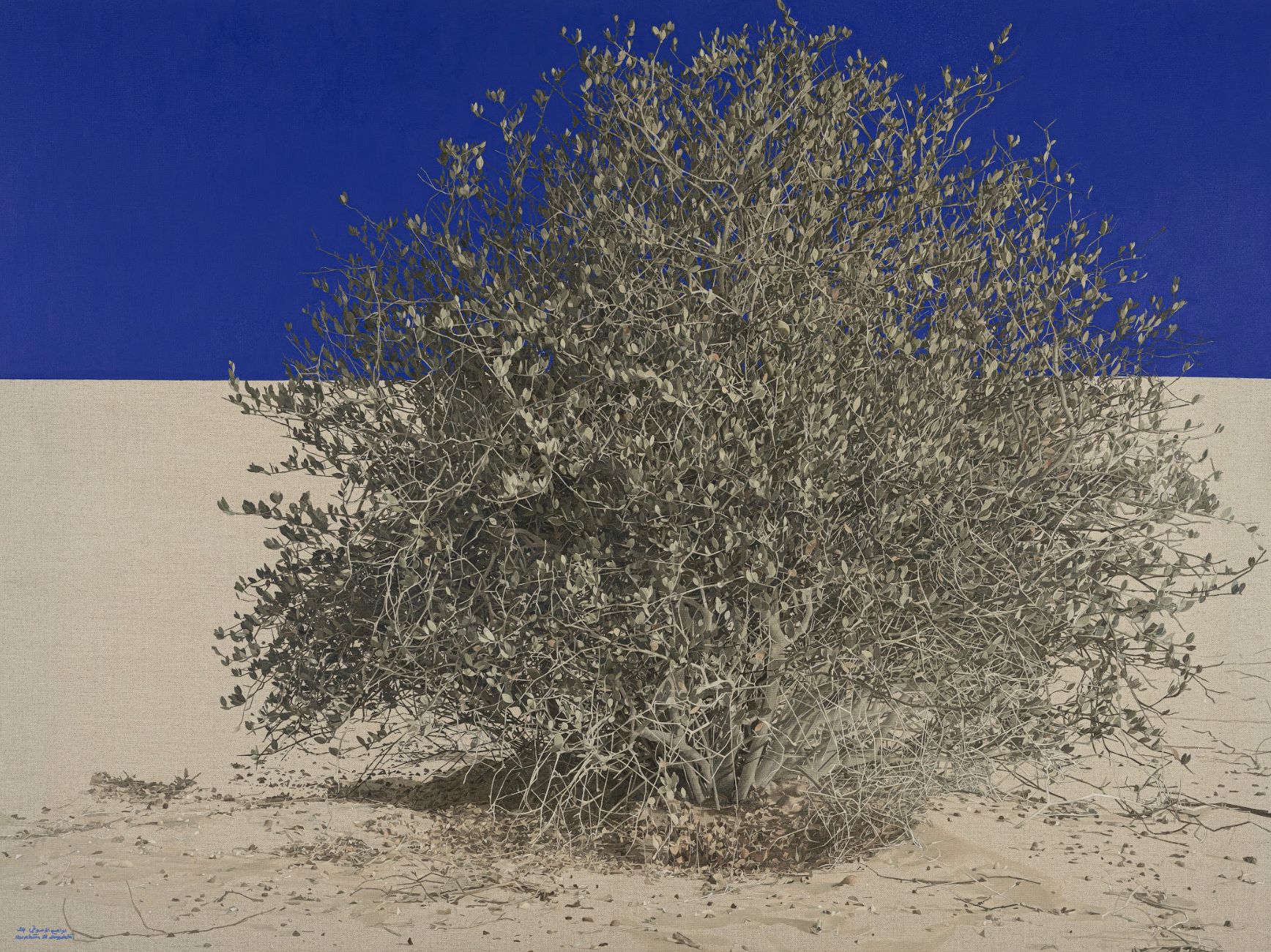 The Olive Tree 1, 2023 — Oil on clear primed canvas.